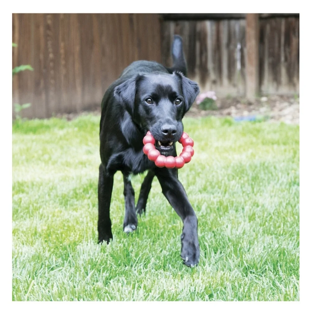 KONG Dog Ring Toy - Durable Natural Rubber XL Made in the USA NWT SO 1 Left!